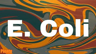 E. Coli - The Alchemist (Lyrics)