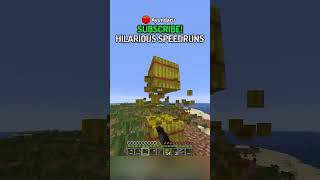 I Found The Funniest FAKE Minecraft Speedrun…