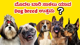 Top 10 low maintenance dog breed for first time owners | ಮೊದಲ ಬಾರಿ ಸಾಕಲು ಯಾವ Dog breed ಉತ್ತಮ screenshot 5