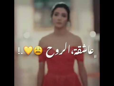 مهرجان روحها جميله بصراحه تتحب حالات واتس مهرجان بوش اب