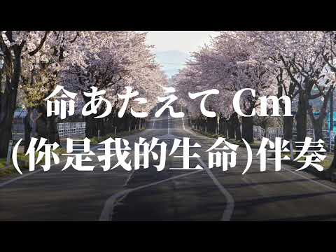 命あたえて Cm (你是我的生命)伴奏(KARAOKE)Wav高音質