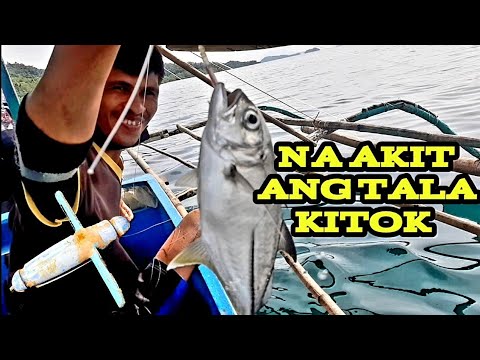 Video: Pinakatanyag Na Pang-akit Sa Pangingisda