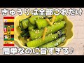 【材料2つ】お茶漬けの素1袋で♪簡単きゅうり漬け🥒素だけで美味しく味が決まります✨