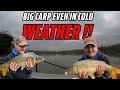 Worsbrough Reservoir- Fishing Lake Reviews (Big Body Of Water Full Of Amazing Fish)