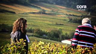 Hubert Brochard - cora Wine