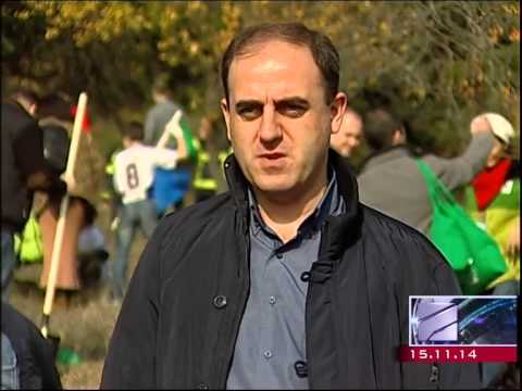 ტყის გამწვანების აქცია წავკისში-15.11.2014