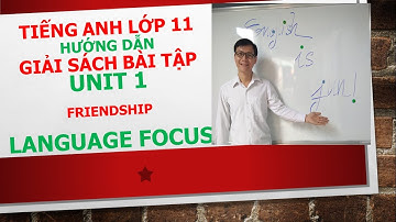 Tiếng Anh lớp 11 (Giải SBT) - Unit 1 - Language focus - Exercise 3