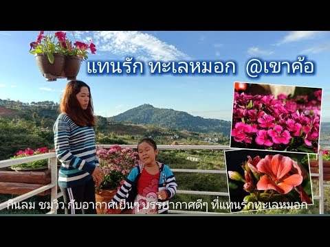 แทนรัก ทะเลหมอก รีสอร์ทอากาศดีที่เขาค้อ เพชรบูรณ์