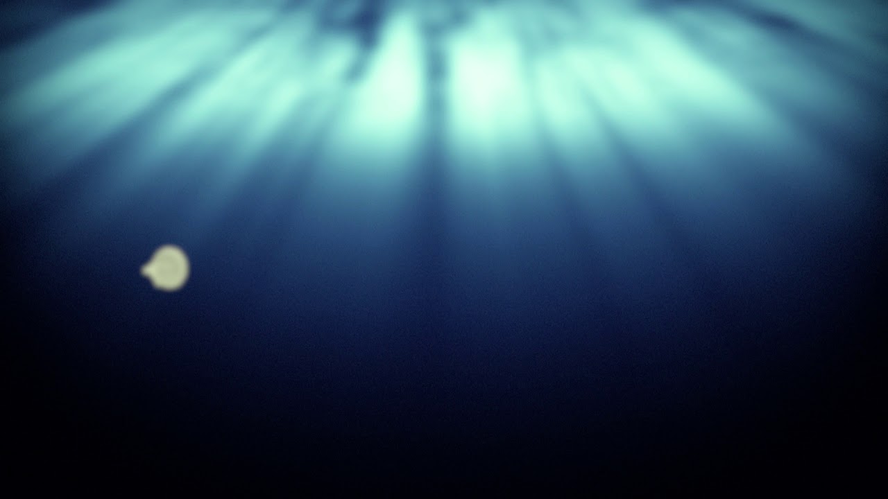 test h264 oscuro YouTube