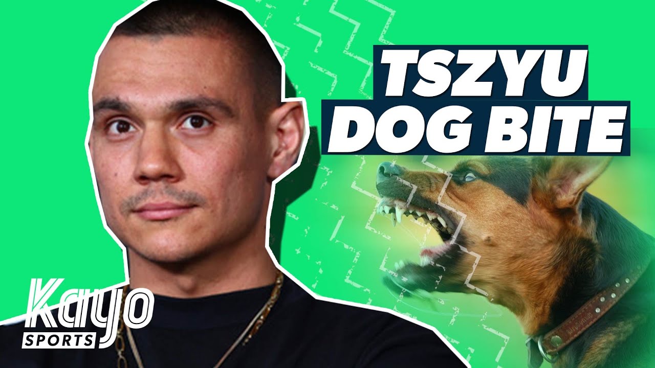Tim Tszyu receives surgery for dog bite Boxing Kayo Sports