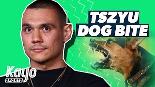 Tim Tszyu Receives Surgery For Dog Bite Boxing Kayo Sports