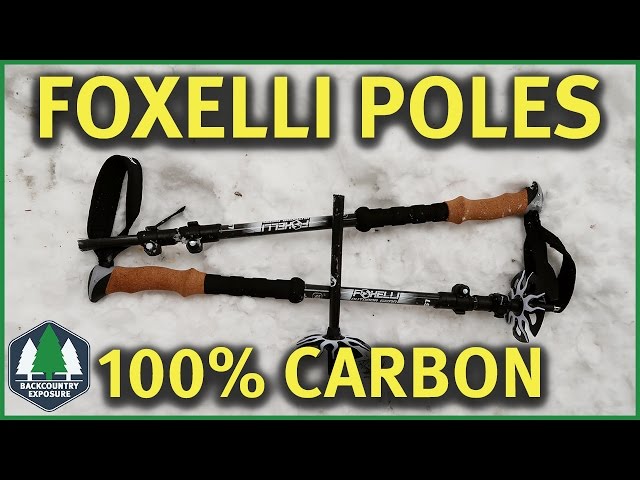 Foxelli Carbon Fiber Trekking Poles Unfortunate Failure!