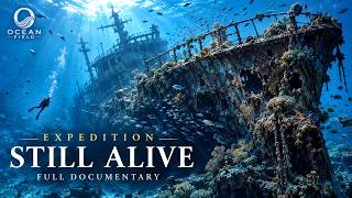 What Happens to Shipwrecks at the Bottom of the Ocean