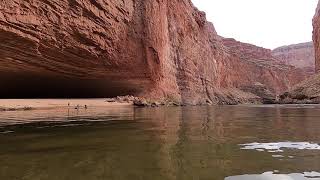 REDWALL CAVERN
