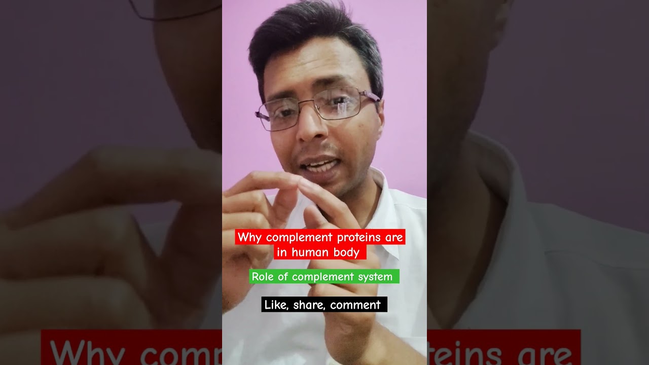 function of complementary protein (complement system) in human body