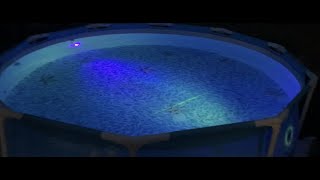 Hollywood above ground pool lights for under £25 - how to video