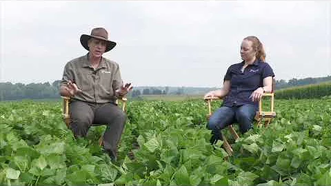 2021 Diagnostic Days - Spraying Edible Bean (with ...