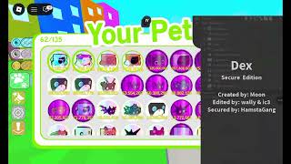 Big Gays Reborn v1.0 Pet simulator (1) script in discord in description