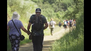 Senderismo Vía Verde de El Ronquillo - Embalse de la Minilla