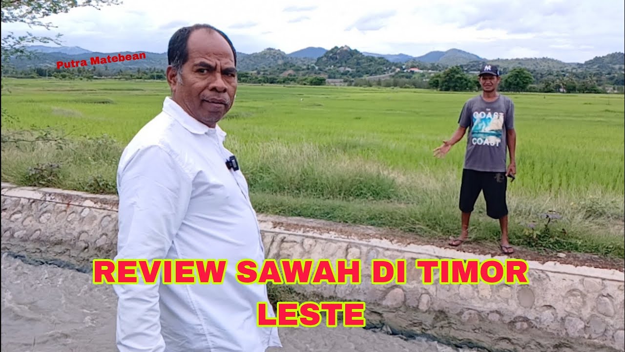 PERSAWAHAN DI TIMOR LESTE