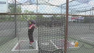 Fight To Save Batting Cages