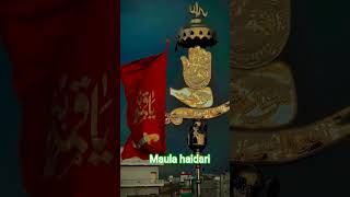 Nara haidari#alimola #alihaider #ali #alihusain #imamhussain #ajmersharif #trendingkavvali