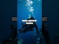 Quiet Courage in the World's Deadliest Jobs