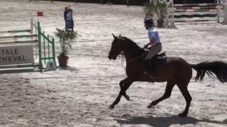 Soliste Du Janlie Quaprice Bois Margot