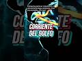 Corriente del golfo se apaga