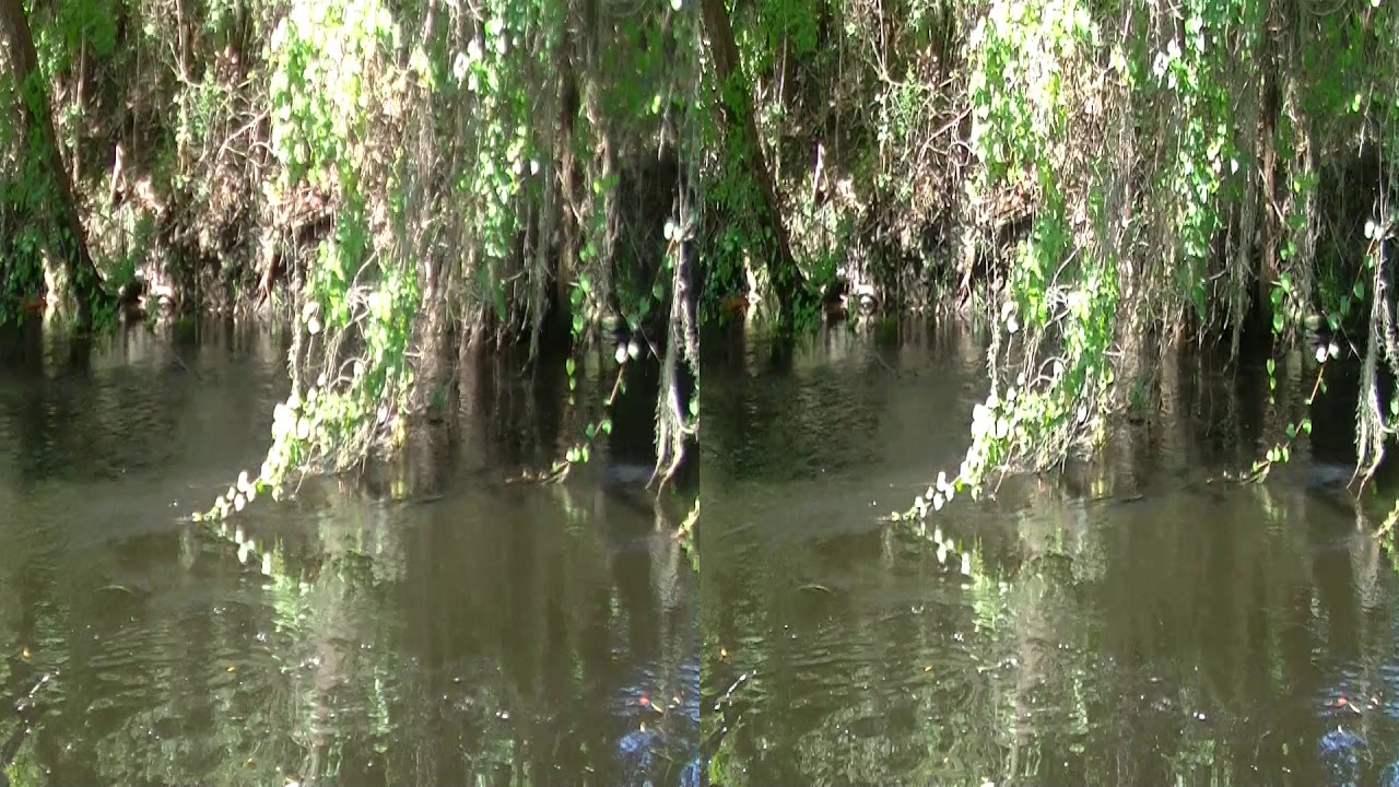 20180927 Withlacoochee River YouTube