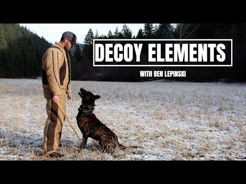Decoy Elements: Professional K9 Bite Work & Decoy Training for Police and Sport Dogs