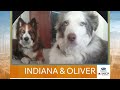 New Mexico Living Pet Pics April 27, 2026