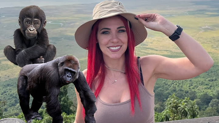 🦍 I SAW A GORILLA FAMILY IN UGANDA!