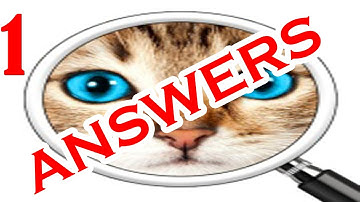 Guess the Pic! 2 ~ Photo Quiz Level 1 - All Answers - Walkthrough