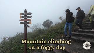 A rainy and foggy day on the mountaintop | Soft Jazz Village Vlog screenshot 5