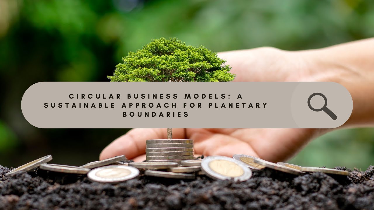 Circular Business Models: A Sustainable Approach for Planetary Boundaries 