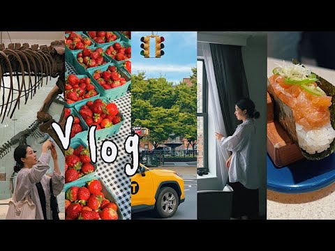 🧡미국한달여행 Vlog 3 I K-town I 소호 맛집 I 파머스 마켓 I 뉴욕 디저트 맛집 I 호텔 I 아울렛 쇼핑 I 자연사 박물관 I 김갈릭