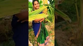 #harini #nini Kori varanam #dance