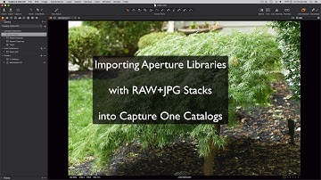Importing Aperture RAW+JPG Stacks Into Capture One Catalogs