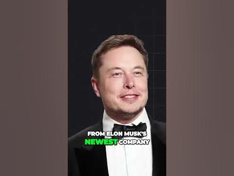 Elon Musk's Grock AI: Revolutionizing the Chatbot Experience 🤖🌟 - YouTube