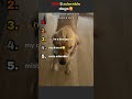 130 adorable dogs🤣❤️🤪#funny#pets#petsrule#memes#dog #puppy#doglife#doglife#petlife#viral#playing