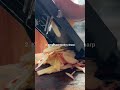 Global Mandoline Slicer Essential Tips with Belle English