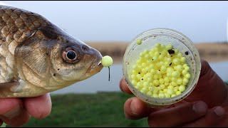 Карась на ZIG RIG насадка пенопласт жёлтый, рыбалка весной 2024 by Юг Fishing 73,689 views 1 month ago 35 minutes