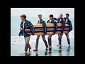 Somewhere Near Japan-The Beach Boys