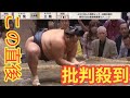 すんげえ美人」大相撲客席に“両肩ざっくり”姿のラウンドガール 「モデルさんかな」「美女発見」ネットざわつく