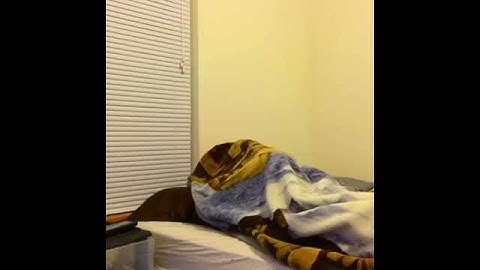 When you accidentally oversleep