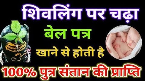 शिवलिंग पर चढ़ा बेलपत्र खाने से होती है पुत्र संतान प्राप्ति ? काश पहले पता होता // ॐ नमः शिवाय