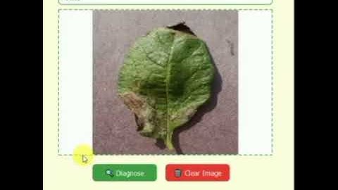 AI Based Potato Leaf Disease Detection | Smart Farming with Deep Learning