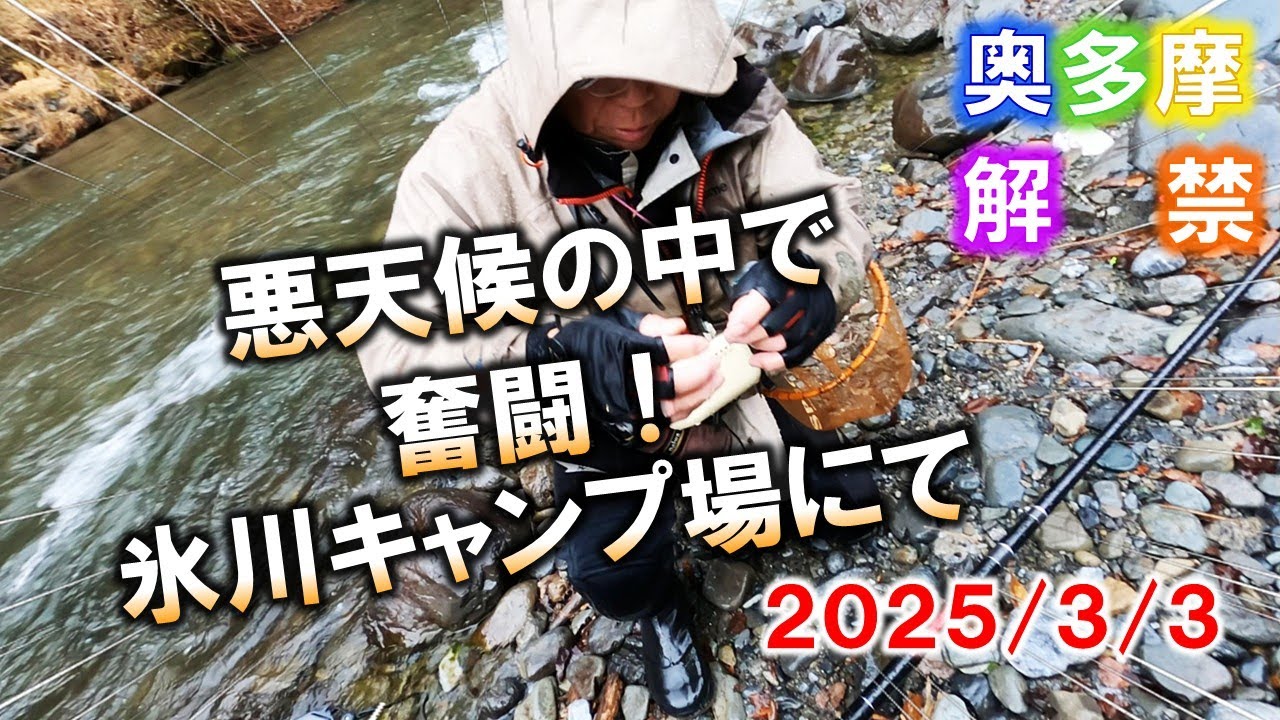 【奥多摩渓流解禁2025】みぞれ交じりの冷たい雨の中での渓流釣りとなりました。スレた渓魚を相手に奮闘！2025/3/3