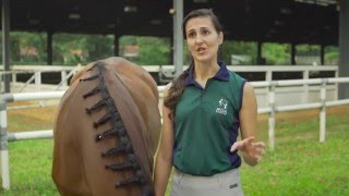 Interview: Aurelie Haensler, RDA Volunteer